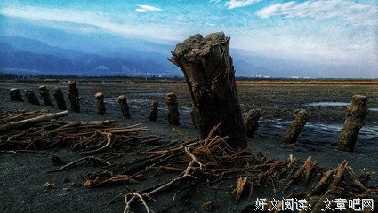 有关眠空的句子