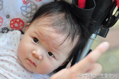 柚子。的句子