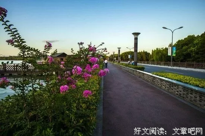 关于零碎的句子