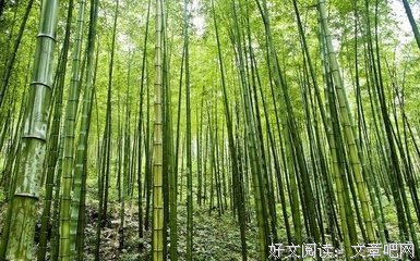 最全的精彩美文名言