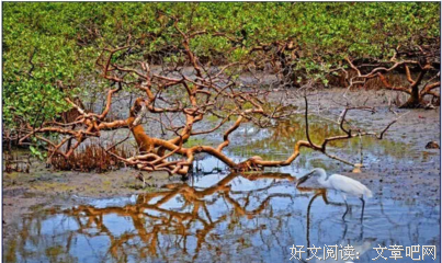 最经典的最北海未眠名言