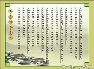 纯洁滴小龙名言大全