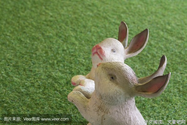 陶瓷兔子的名言