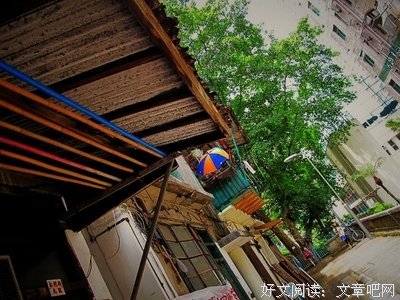 《岁月神偷》经典语句