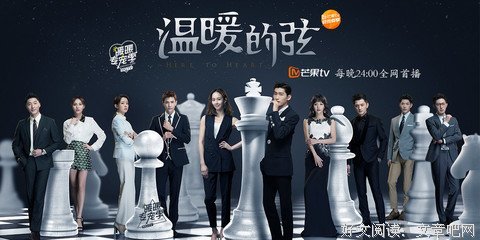 最全的《温暖的弦》小说书摘