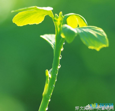 最新的《热爱生命》佳句摘抄