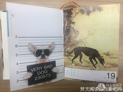 《爆萌宠妃》名句欣赏
