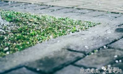 最经典的《狂热分子》好段摘抄大全