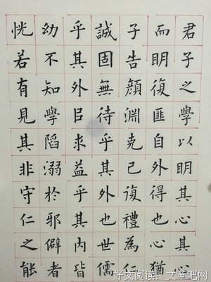 阳明的语句摘抄_关于阳明的语句