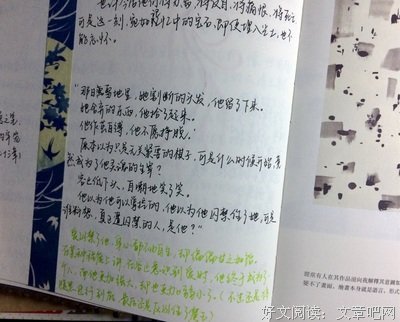 有关天衣无缝的美句摘抄