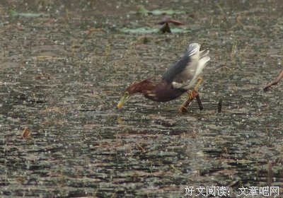 空口无凭的语句摘抄_关于空口无凭的语句