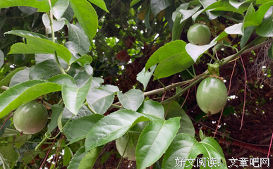 女人一旦真心爱上你了，会有什么样的征兆