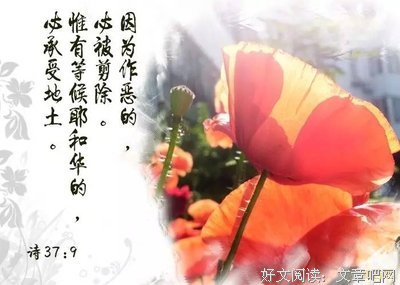 主啊，求你看顾我!