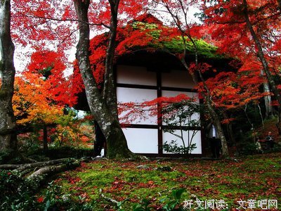 心语感悟