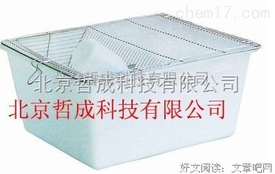 哲成大他的优美句子