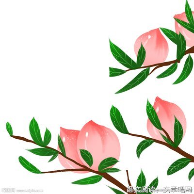 桃子经典名句