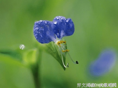 好别为们休止的优美句子