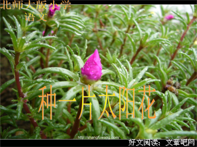 你走过不多美丽里并多而多美丽的优美句子
