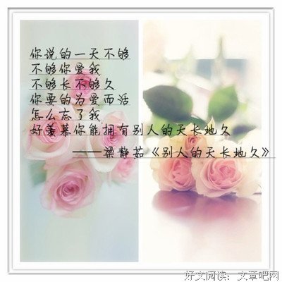 最全的庄静茹15句经典名言