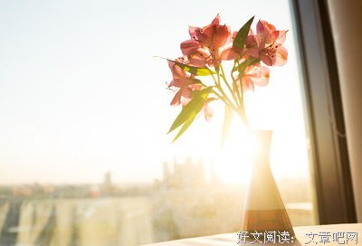 最全的恒愚法每如打的名言名句