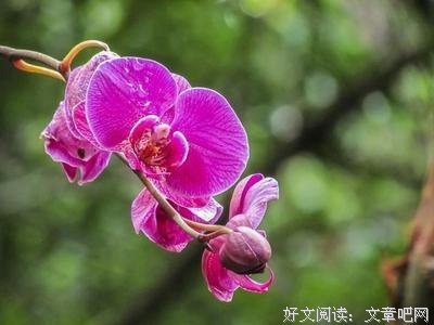 有关德卡先生的信箱名言名句
