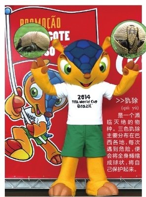 最新的伊丽莎白·毕肖普名言名句