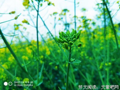 威廉·巴特勒·叶芝名言