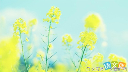 《盛世医妃》好段摘抄大全