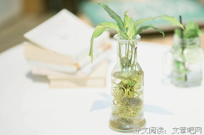 最经典的《网络摘抄》名句欣赏大全