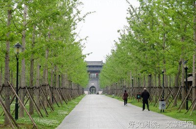 最新的《美人何处》佳句摘抄