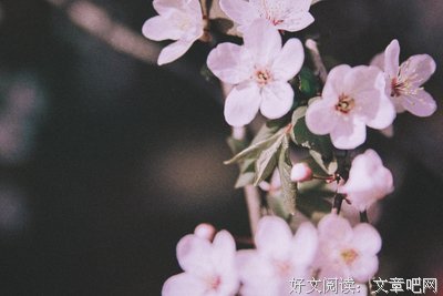 时间线的交错与合并