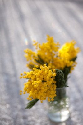 最新的《这么多年》经典语录大全