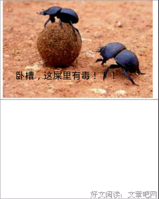 最新的《风中奇缘》经典名句大全