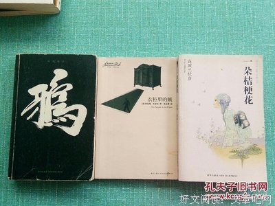 《一朵桔梗花》名句欣赏
