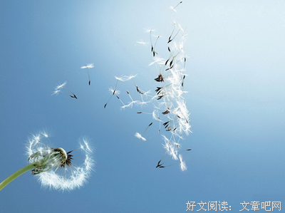 《亲爱的三毛》经典语录大全