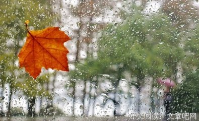 有关江雪的美文美句摘抄