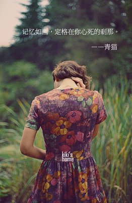 关于小猫的语句