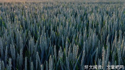 关于落后的名言