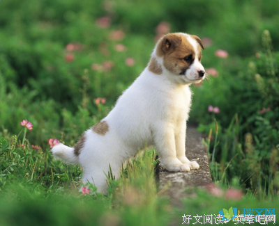 呦呦子心句子大全