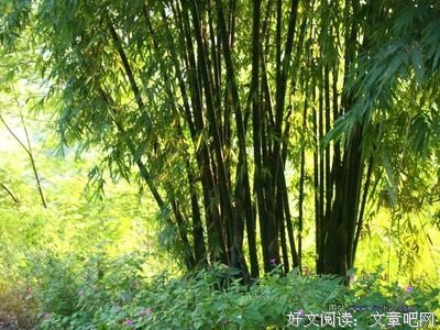 心绪句子