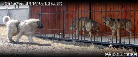 青红名句欣赏