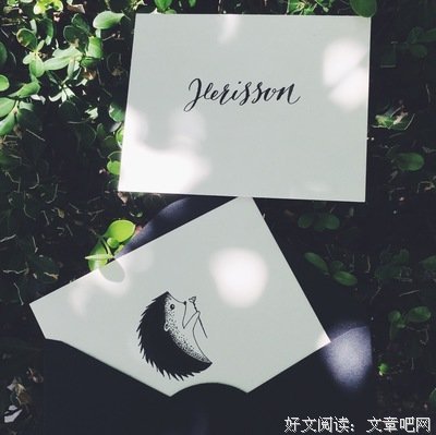 最经典的《刺猬的优雅》经典的句子