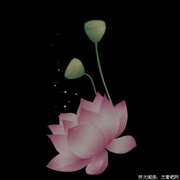 人的运气好坏，都有因果 