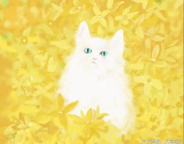 贾平凹：我最想过的生活