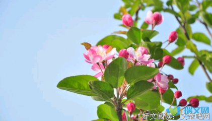 关于无忌的语句