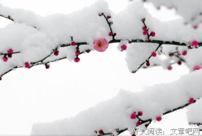关于柔软的语句