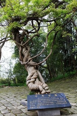 名垂青史的句子