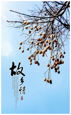 枯枝败叶的名言_关于枯枝败叶的名言