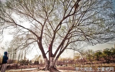关于句集的句子