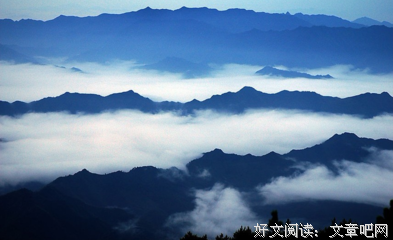 淡淡书香的优美句子